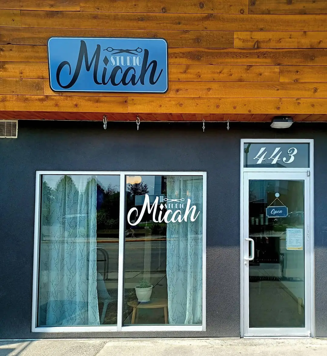 Studio Micah Window Wrap